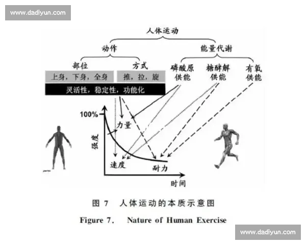 科学运动与恢复结合提升训练效果的全面策略研究 科学运动与恢复结合提升训练效果的全面策略研究